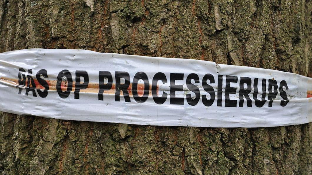 1280px-Pas_op_processierups.JPG