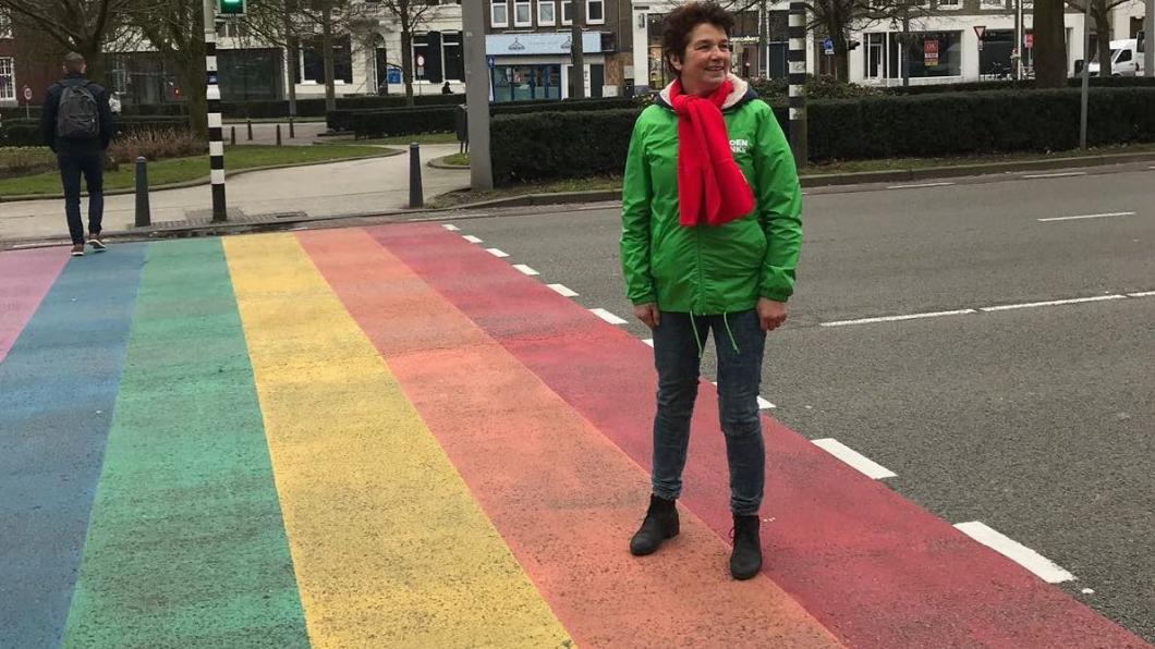 Regenboogzebra in Arnhem regenboogzebra b756287a-669e-4cc6-9c97-062fb27b47ce kopie.jpg