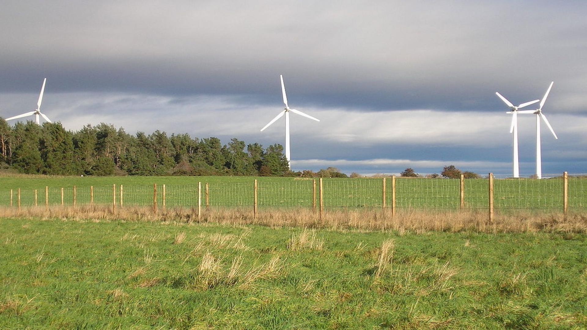 1280px-Findhorn_wind_turbines.jpg