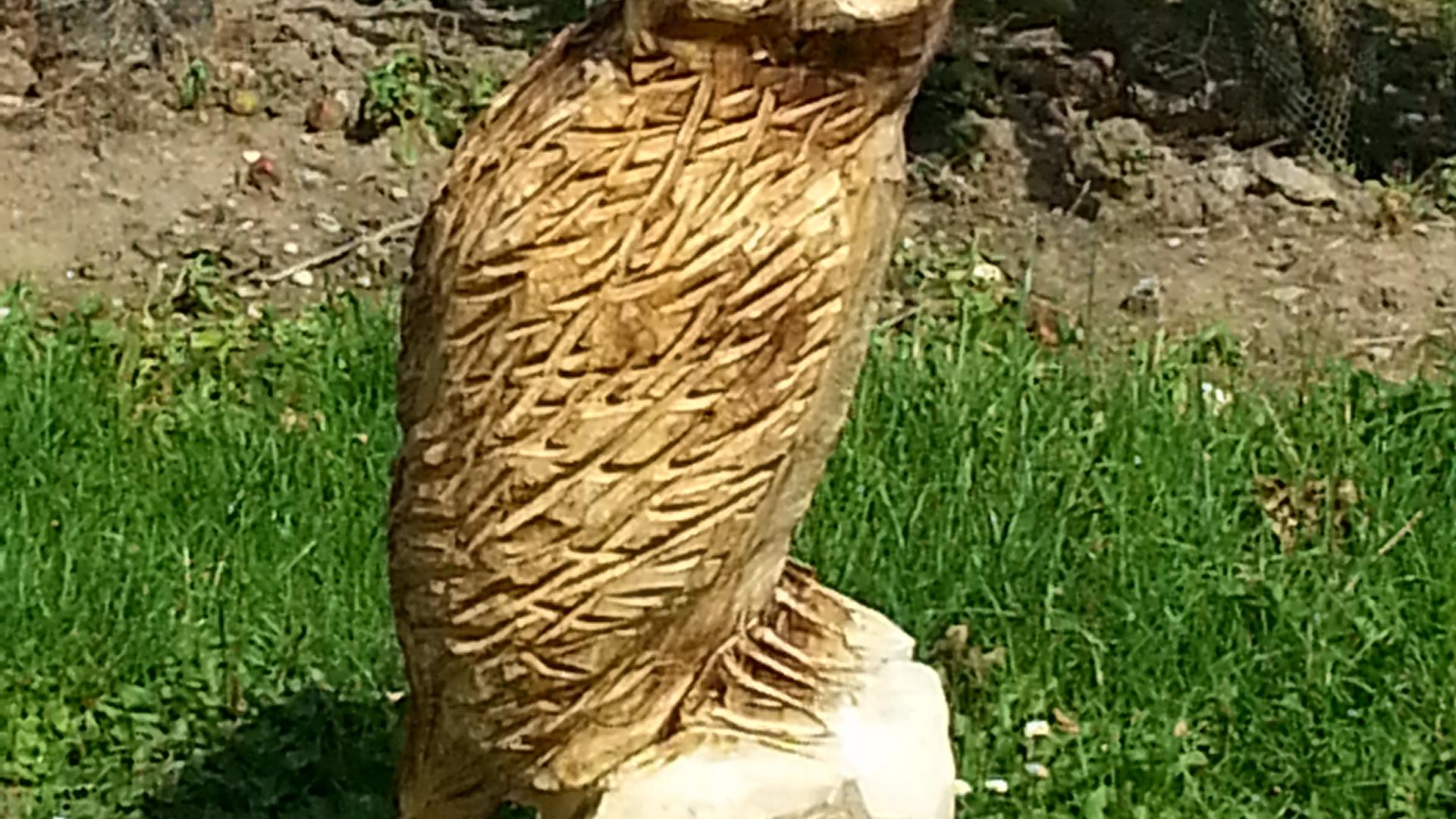 20150731_151900.jpg