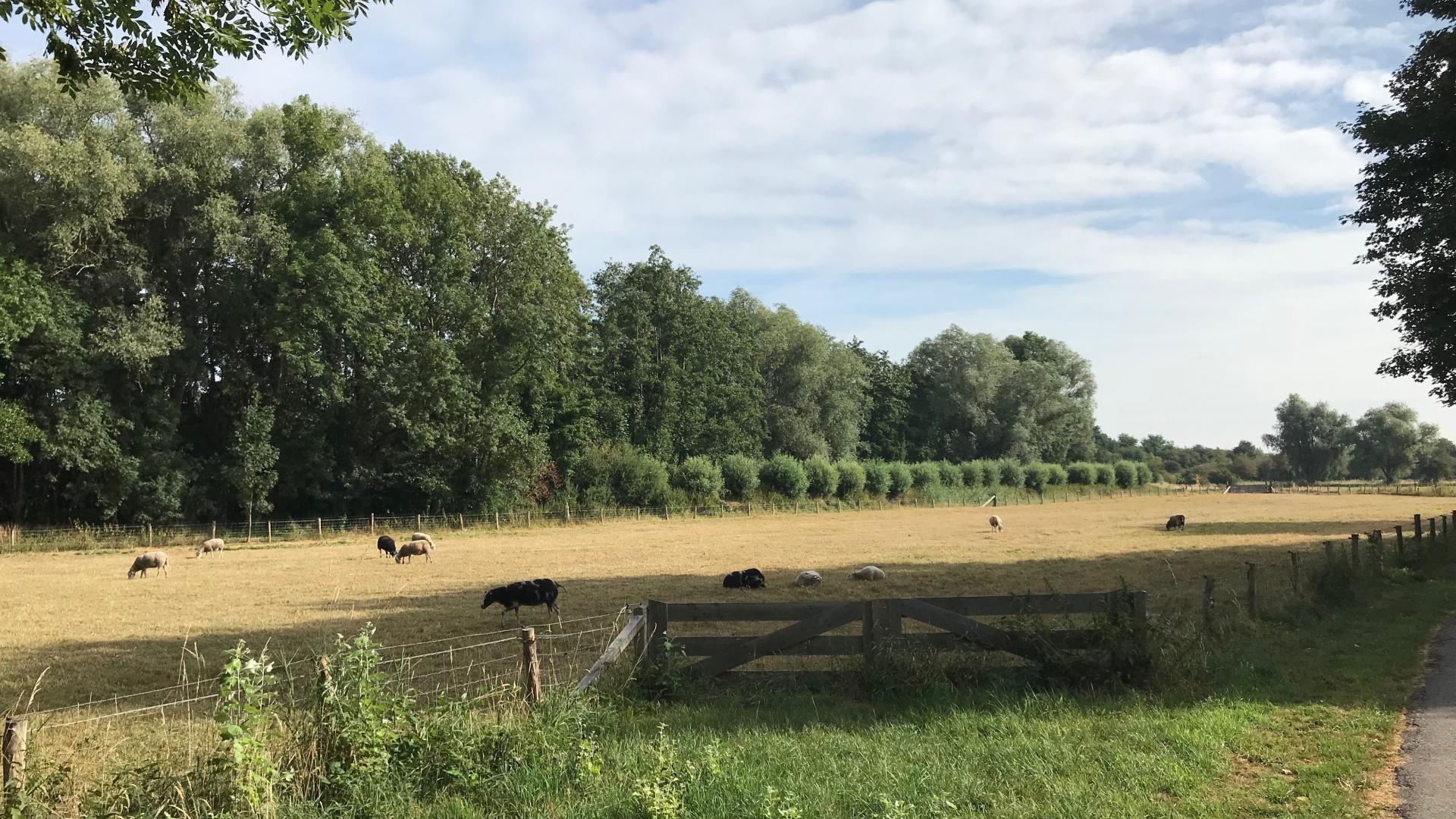 park holthuizen