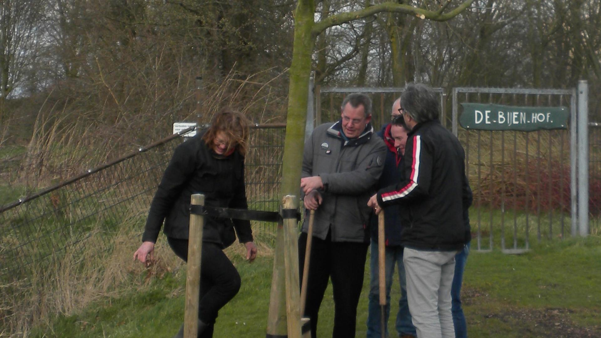 bijenboom.jpg