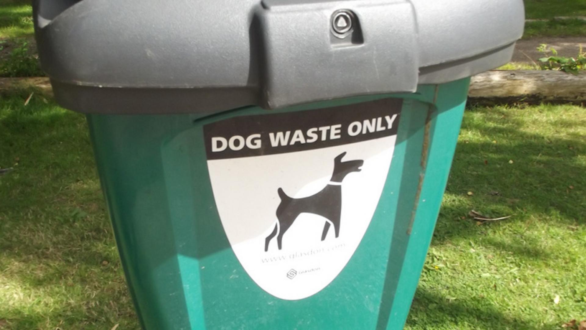 dogshit9505341136_2368315e7a_b.jpg
