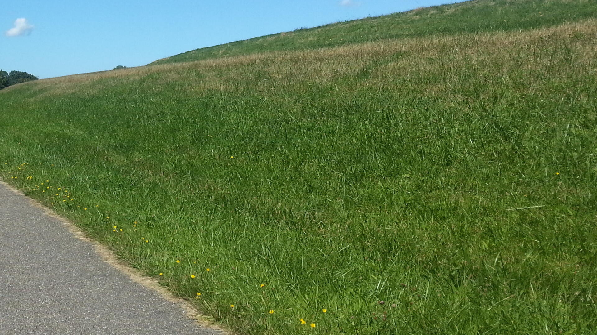 fietspad dijk.jpg