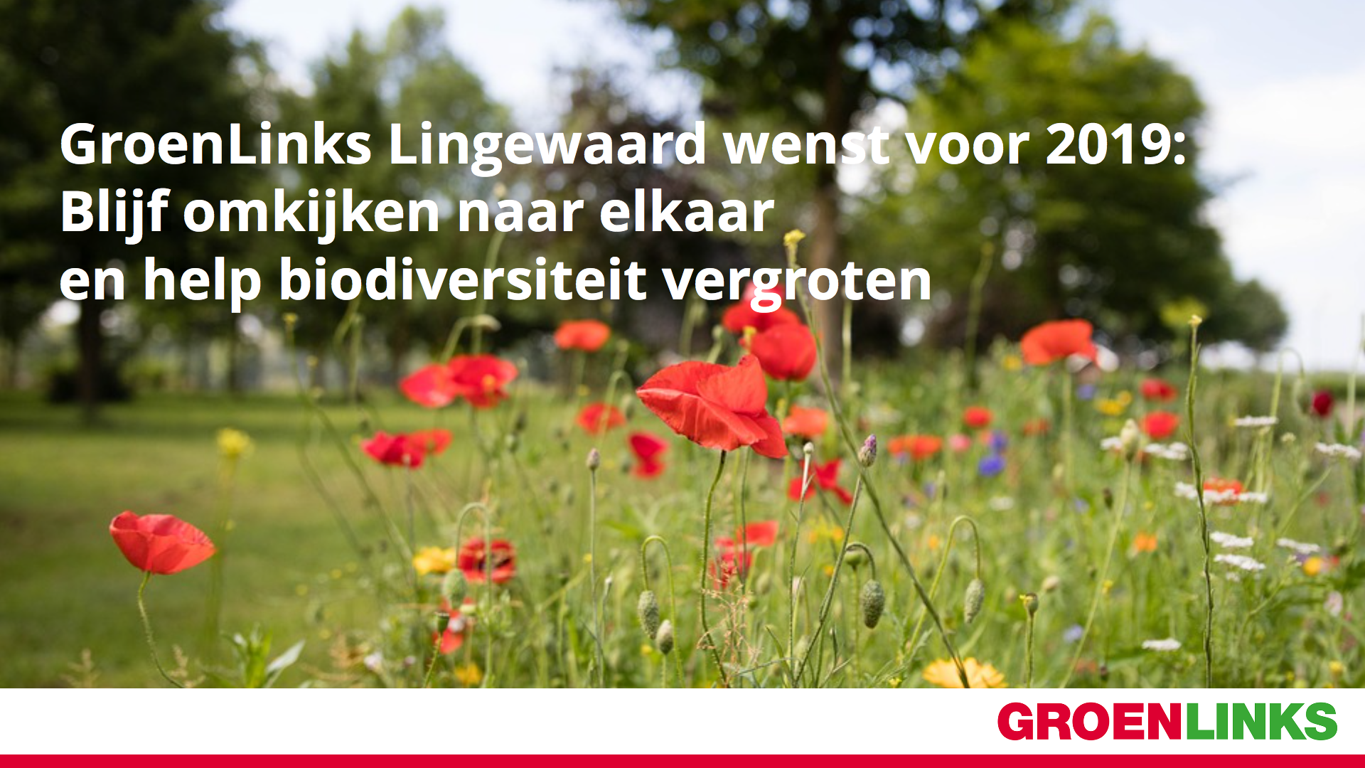 foto-groenlinks.png