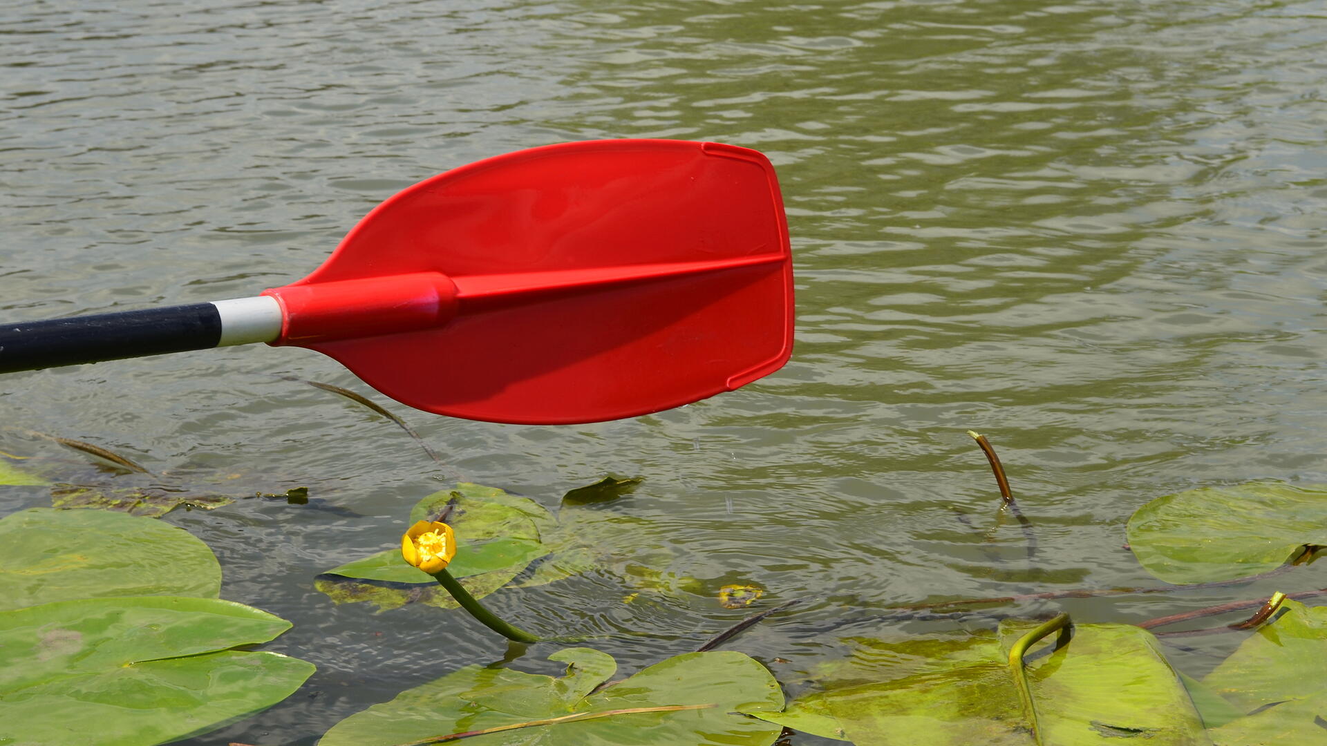 Lingevaart