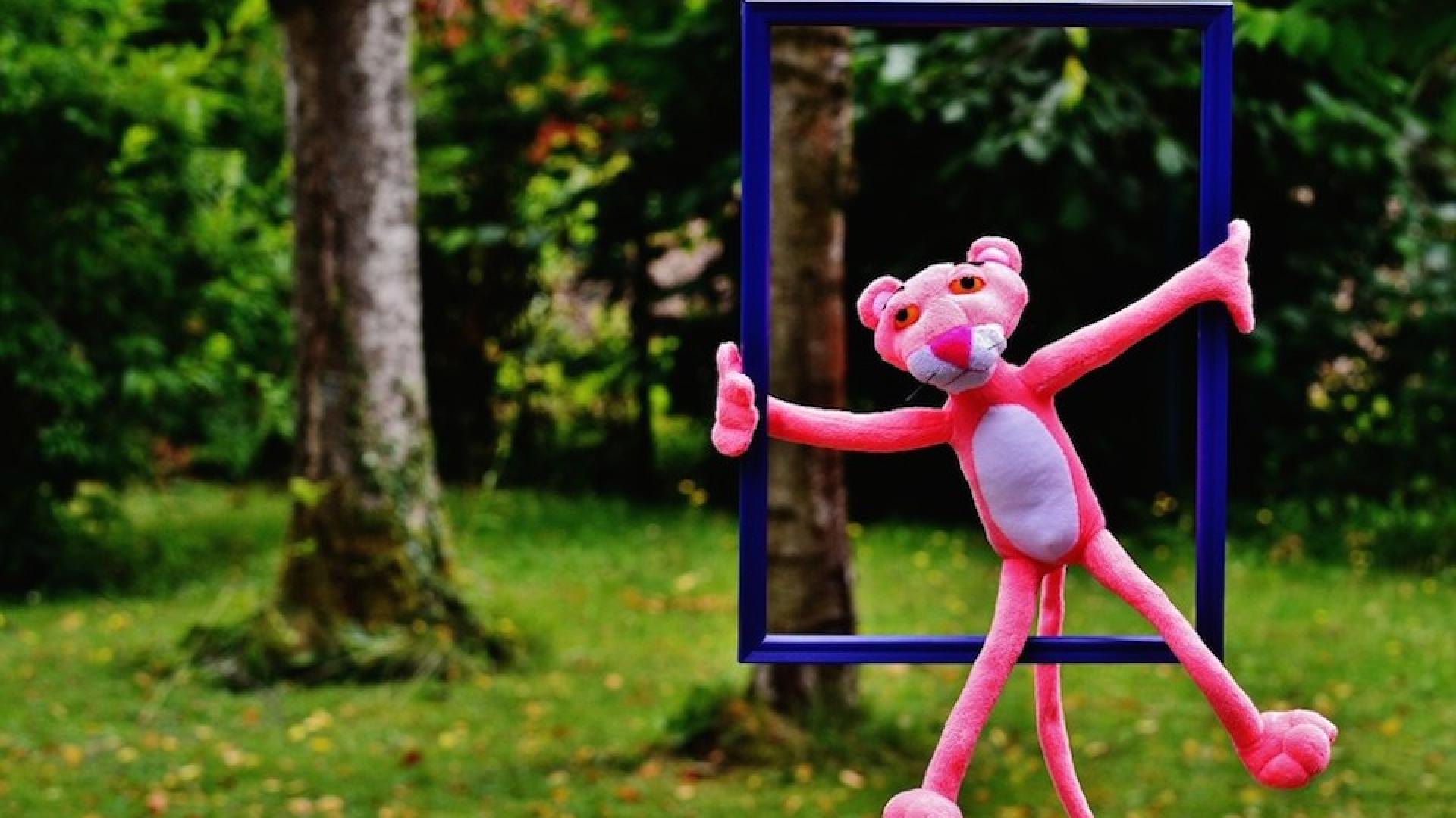 out_of_the_ordinary_the_pink_panther_funny_anders_unusual_untypical_picture_frame_cute-572414.jpg!d.jpeg