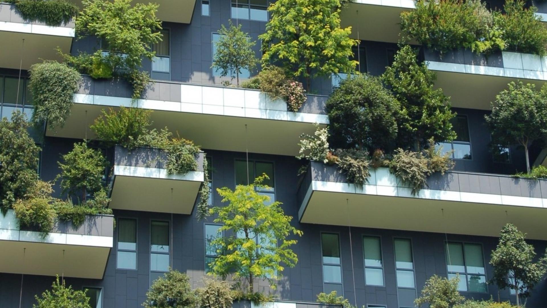 tree_building_balcony_window_city-55193.jpg!d.jpeg
