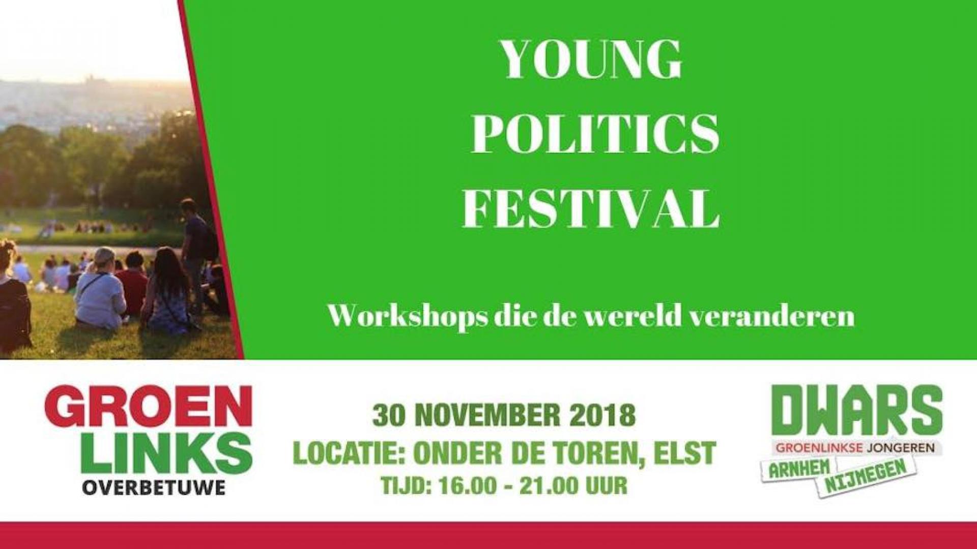 young politics festival.jpg